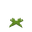 Short Moss