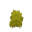 Plant Moss Yellow