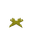 Short Yellow Moss