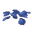 Plant Petals Blue
