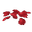 Plant Petals Red