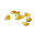 Plant Petals Storm