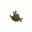 Plant Seeds Pine