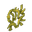 Dry Vine