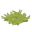 Survival Trap Grass
