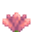 Cactus Flower