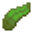 Kelp