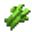 Sugar Cane