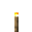 Torch