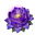Carrying Lotus (L)