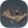 Coal Quarry