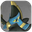 Faleris Aqua Saddle