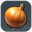 Onion Plantation