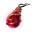 Power Fruit