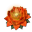 Speed Lotus (L)