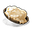Animal Fat