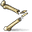 Bone Fragments