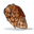 Cooked Chicken