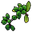 Green Berry