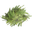 FICSMAS Tree Branch