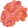 Paleberry