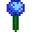 blue jazz