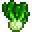 bok choy