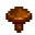 common mushroom