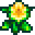 daffodil