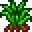 Grass Starter