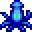 midnight squid
