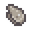 oyster