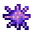 sea urchin