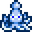 squid