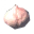 Asksvin bladder