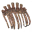 Asksvin ribcage