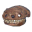 Asksvin skull
