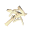 Bone Fragments