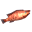 Coral cod