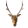 Deer Trophy