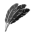 Feathers