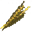 Fresh seaweed