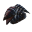 Leech Trophy