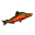 Northern salmon