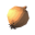 Onion
