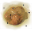 Ooze
