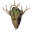 Root Set