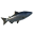 Tuna