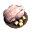 Uncooked honey glazed chicken