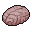 Animal Brain